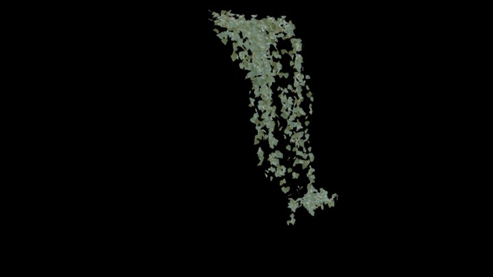 UE项目资源_模型资源_蔓叶002