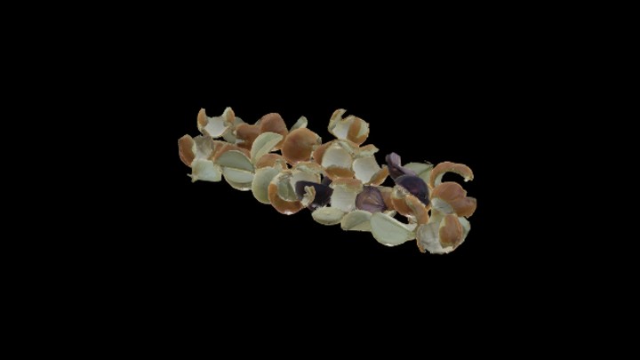 UE项目资源_模型资源_蔬菜100