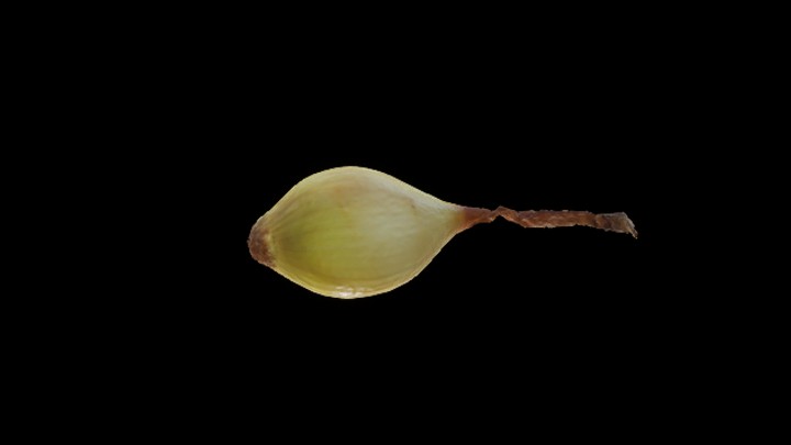 UE项目资源_模型资源_蔬菜109