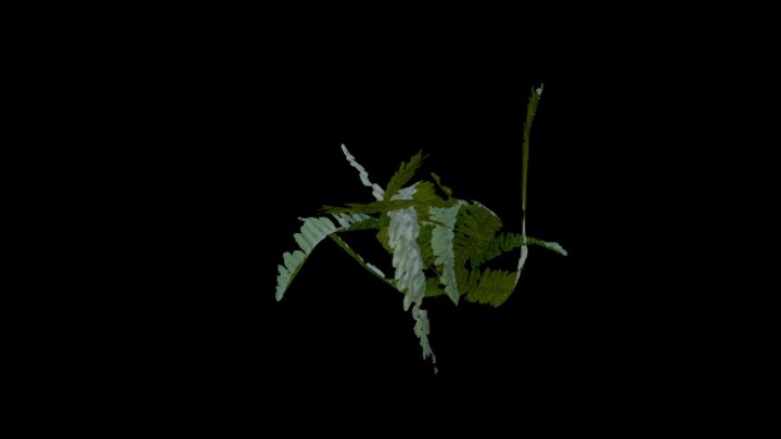 UE项目资源_模型资源_蕨类004