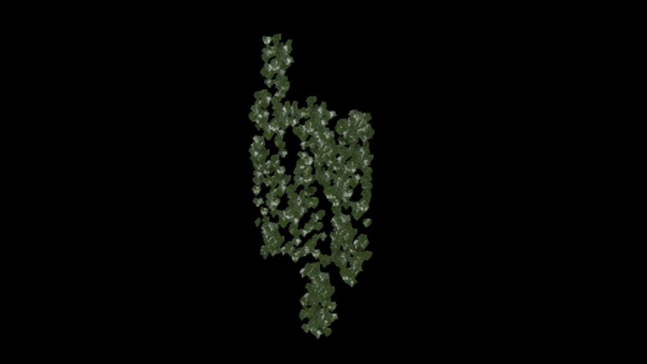 UE项目资源_模型资源_藤蔓150