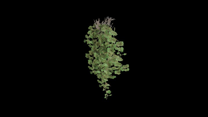 UE项目资源_模型资源_藤蔓159