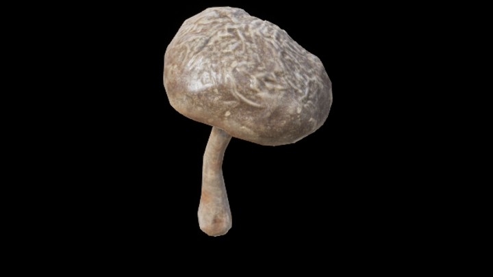 UE项目资源_模型资源_蘑菇340