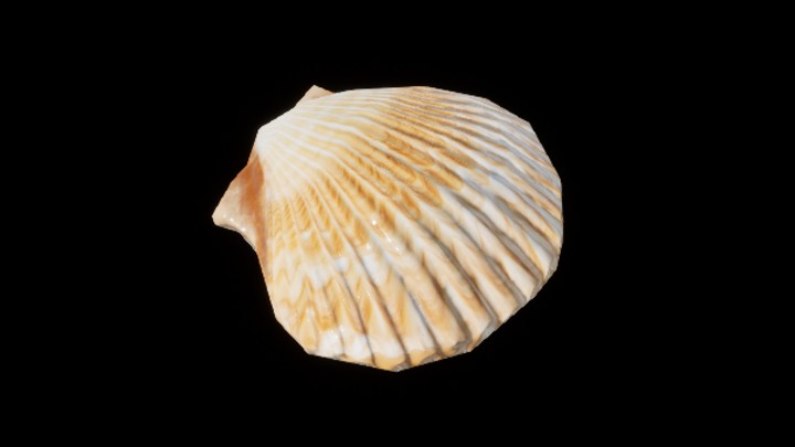 UE项目资源_模型资源_贝壳020