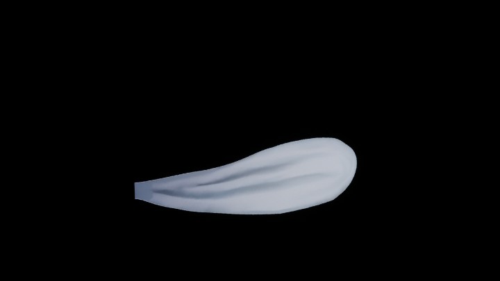 UE项目资源_模型资源_雏菊花瓣004