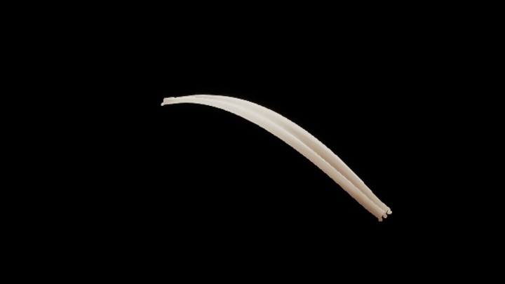 UE项目资源_模型资源_飘带017