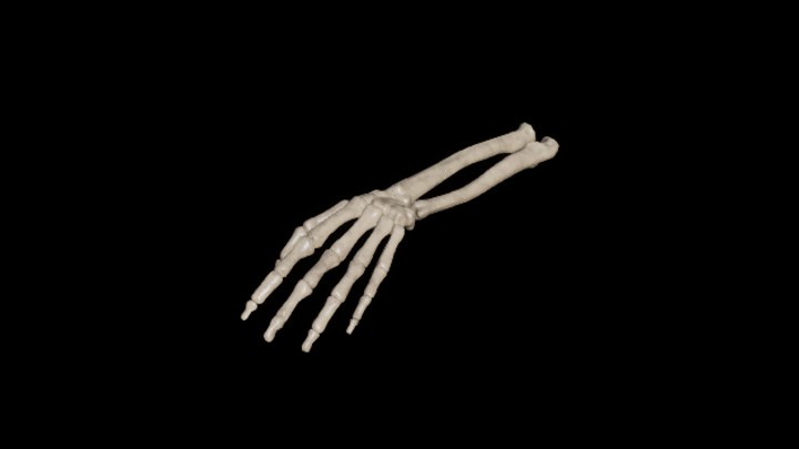 UE项目资源_模型资源_骷髅035