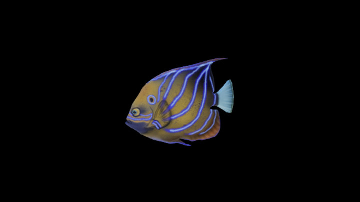 UE项目资源_模型资源_鱼098