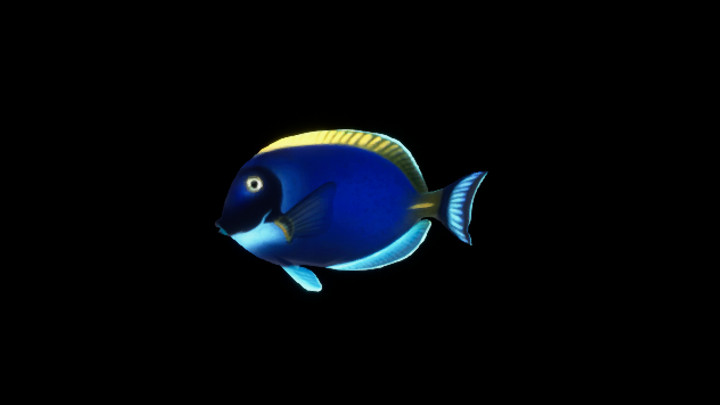 UE项目资源_模型资源_鱼106