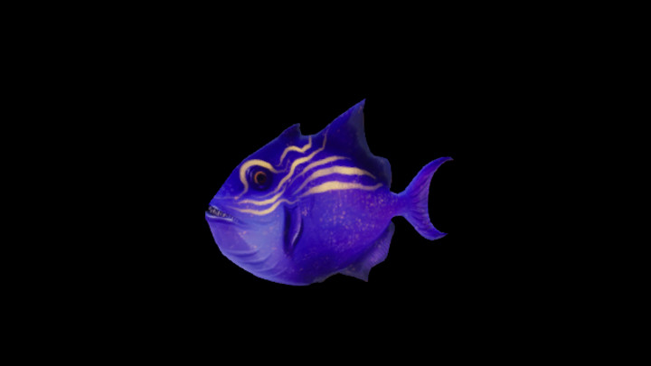 UE项目资源_模型资源_鱼108