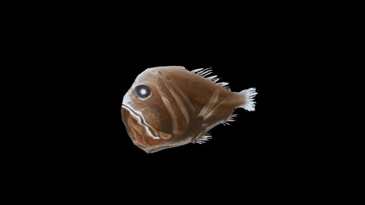 UE项目资源_模型资源_鱼110