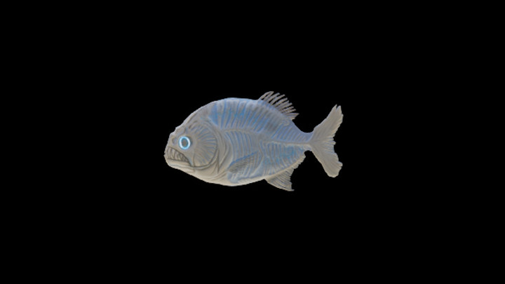 UE项目资源_模型资源_鱼115