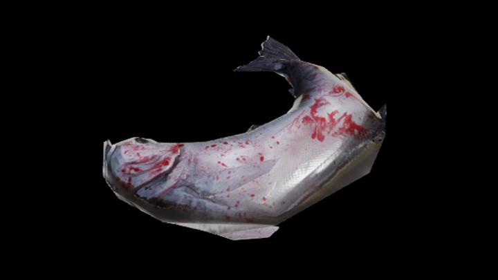 UE项目资源_模型资源_鱼138