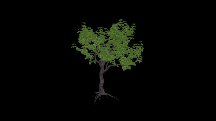 次世代_农作物047