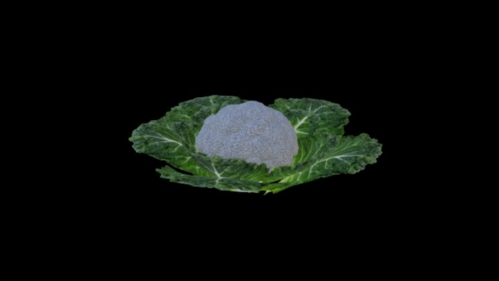 次世代_农作物058