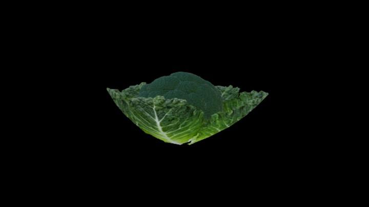 次世代_农作物059