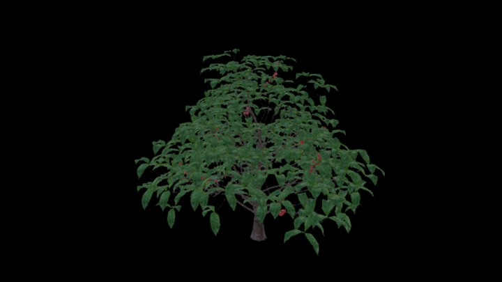 次世代_农作物061