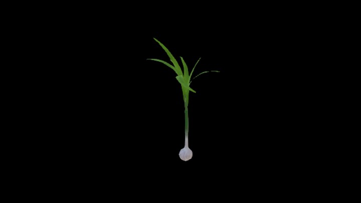 次世代_农作物114