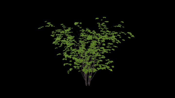 次世代_农作物126