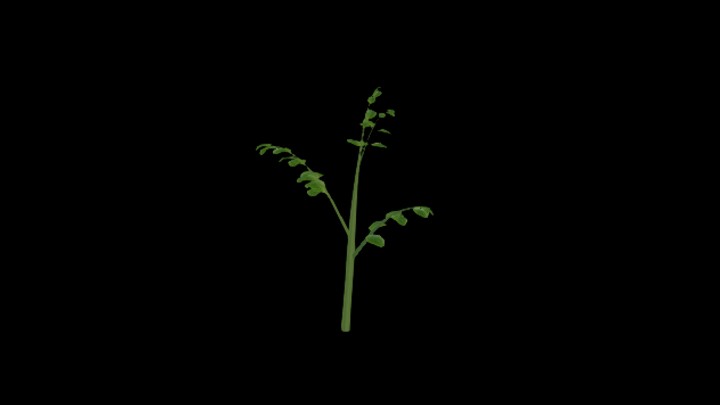 次世代_农作物160