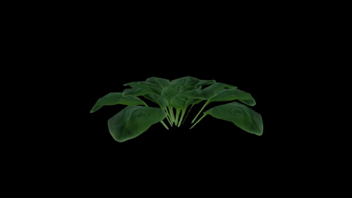 次世代_农作物190