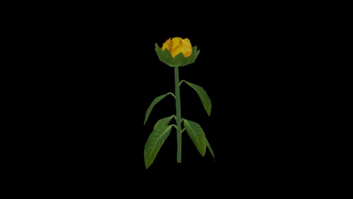 次世代_农作物215