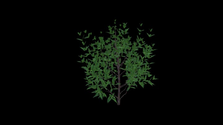 次世代_农作物219