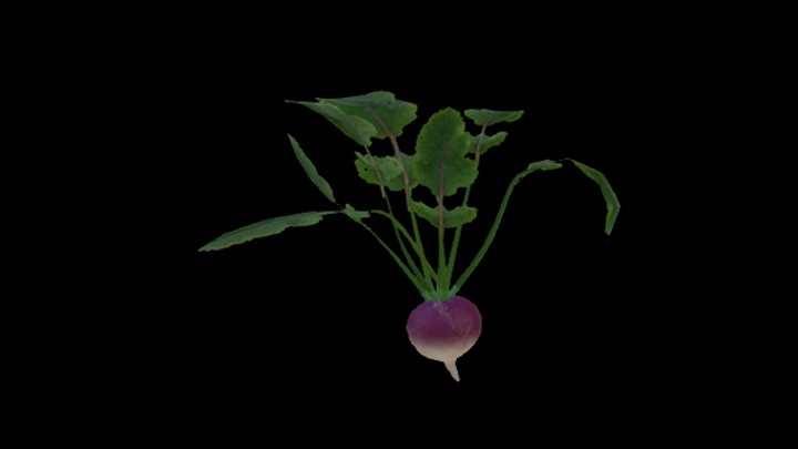 次世代_农作物235