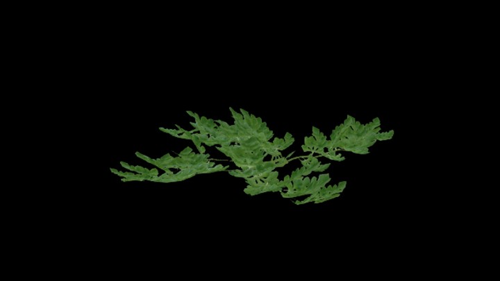 次世代_农作物241