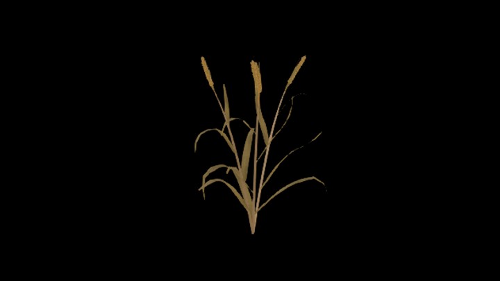 次世代_农作物246