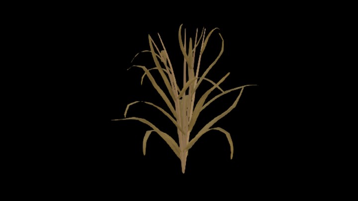 次世代_农作物251