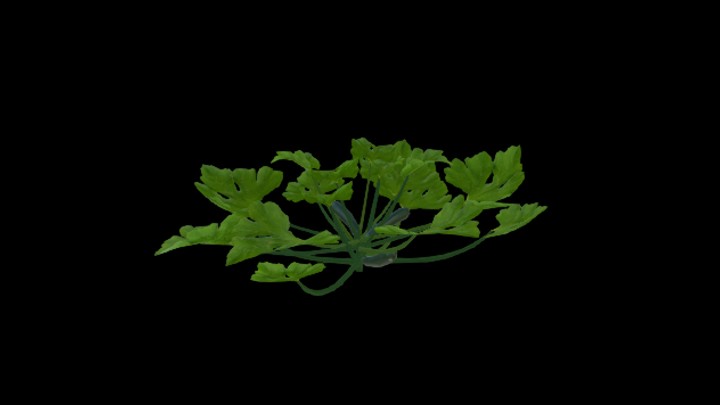 次世代_农作物262