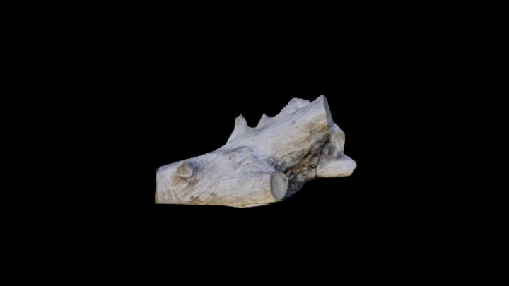 次世代_枯树枝009