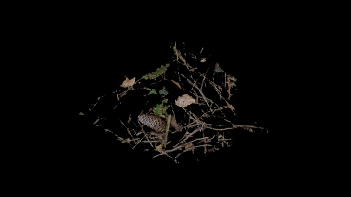 次世代_枯树枝047