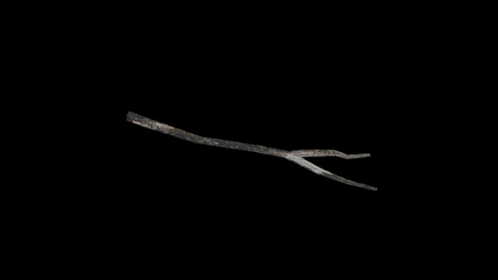 次世代_枯树枝053