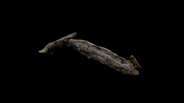 次世代_枯树枝070