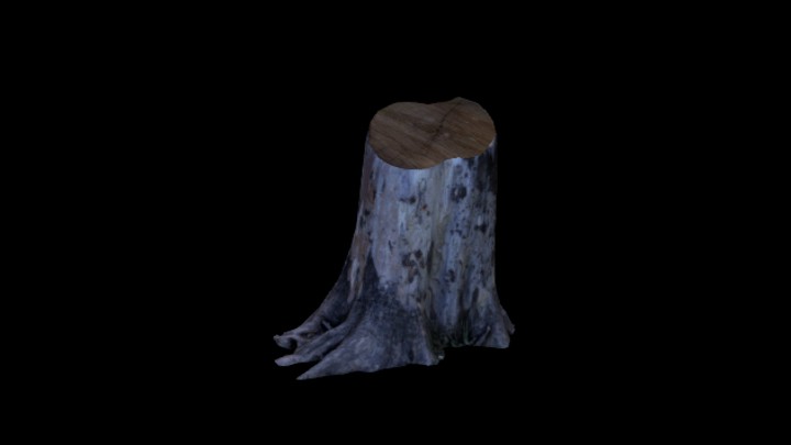 次世代_枯树枝076