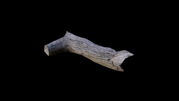 次世代_枯树枝084