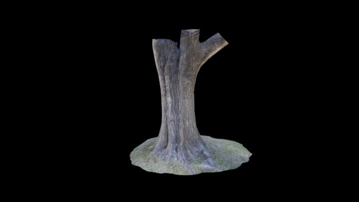 次世代_枯树枝087