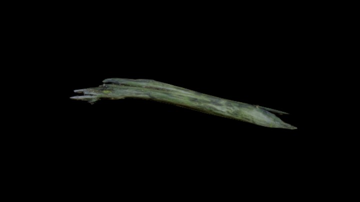 次世代_枯树枝088