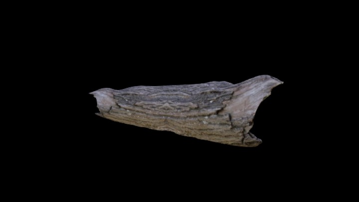 次世代_枯树枝099