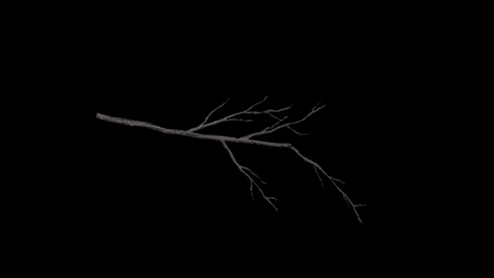 次世代_枯树枝100