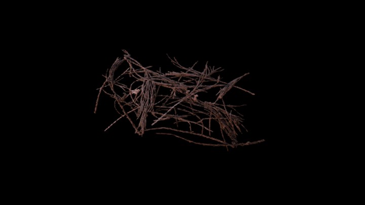 次世代_枯树枝106