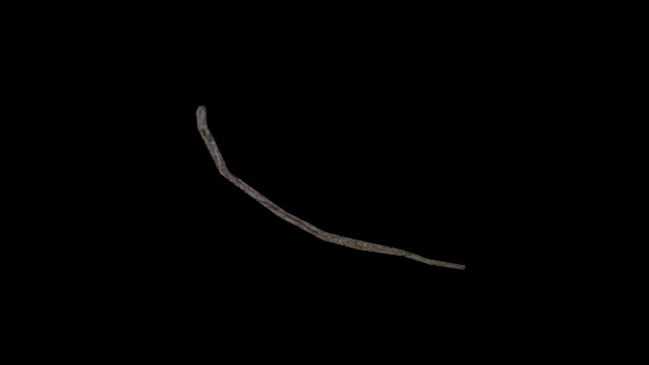 次世代_枯树枝115