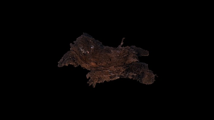 次世代_枯树枝118