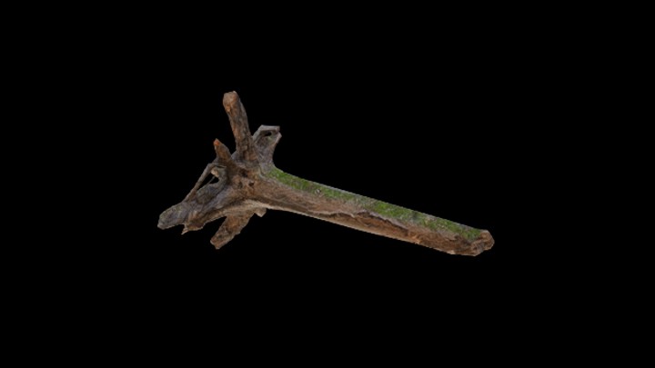 次世代_枯树枝125