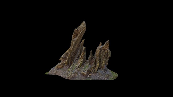 次世代_枯树枝127