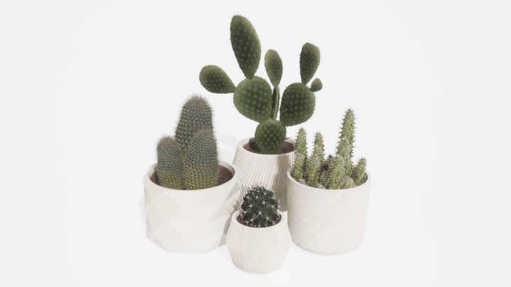 渲染模型_仙人掌008