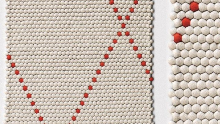 渲染模型_地毯619