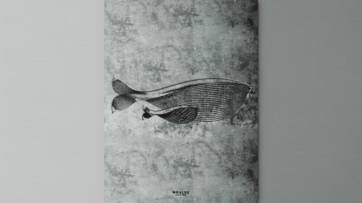 渲染模型_墙面挂画012